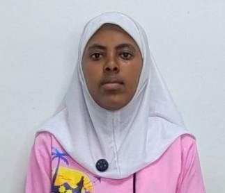 DIRIBE DEBEBE ALEMU
